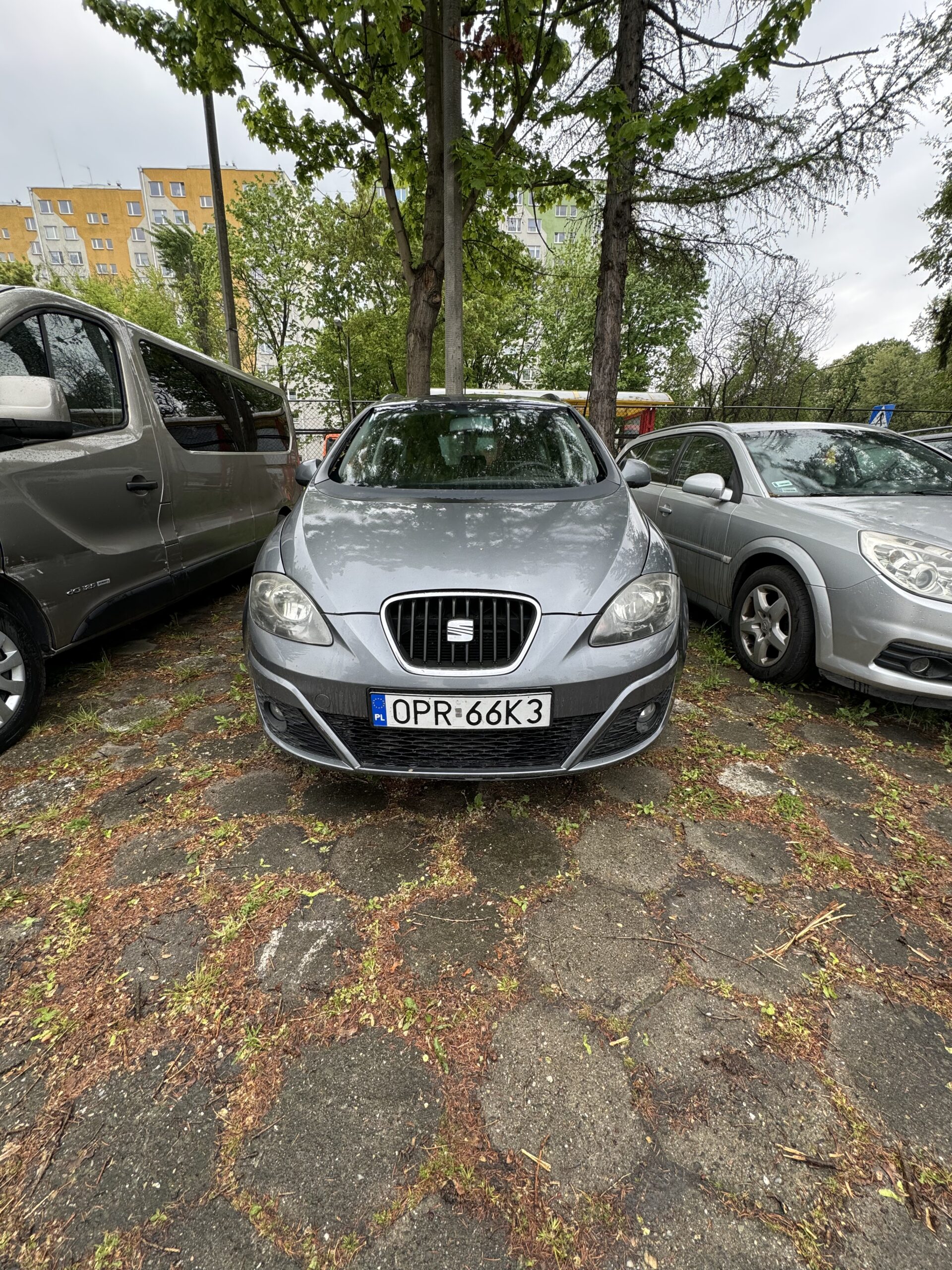 wypożyczalnia aut NYSA